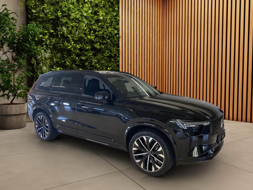 YV1LFHZV3T1438998_08